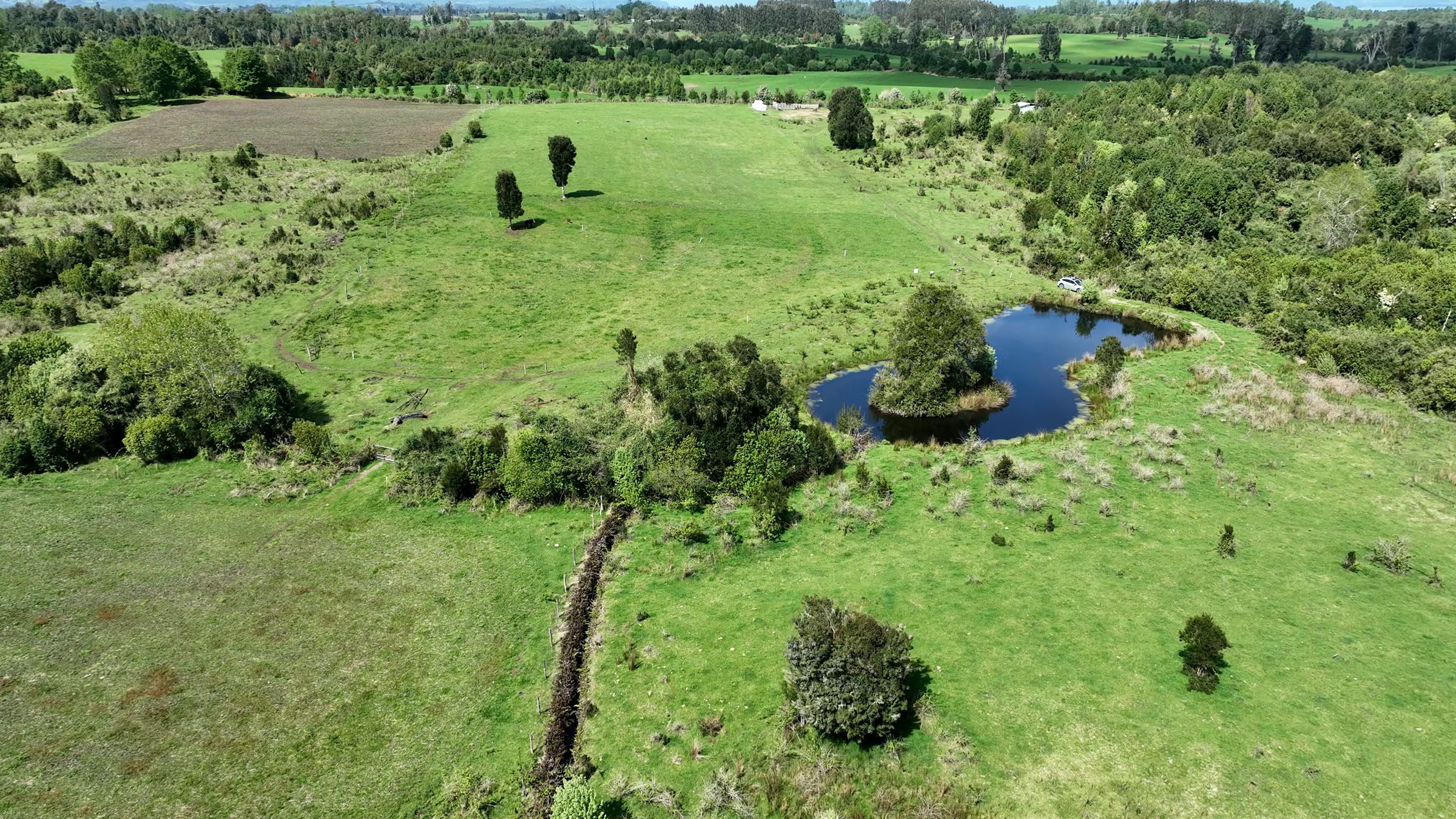 Laguna y canal entre la pradera y el bosque.