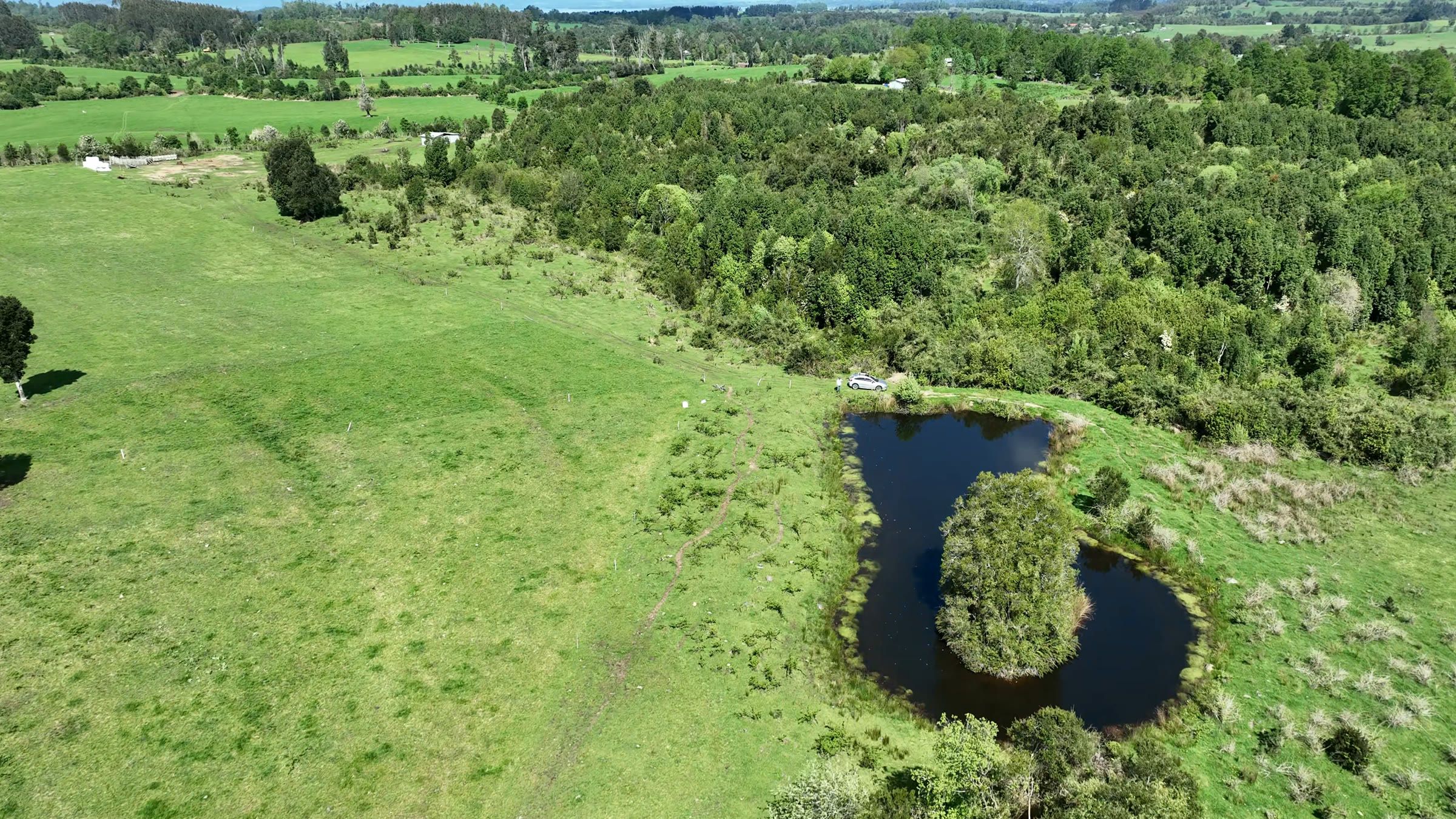 Vista aérea del campo: pradera abierta, bosque nativo y una laguna con un islote de árboles.