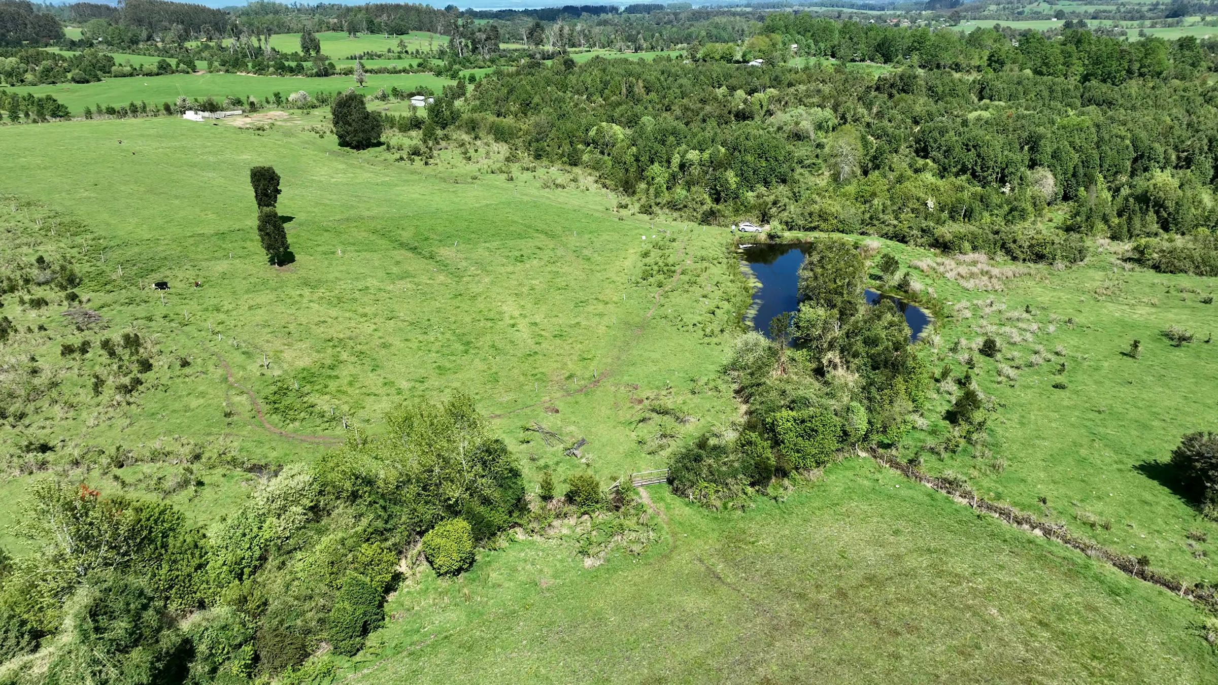 Vista aérea del campo: praderas, bosque y una laguna.